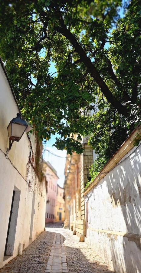 Ferienwohnung El Rinconcito De Noa Jerez de la Frontera Exterior foto