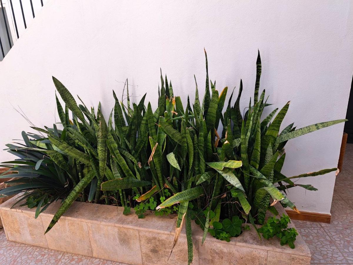 Ferienwohnung El Rinconcito De Noa Jerez de la Frontera Exterior foto